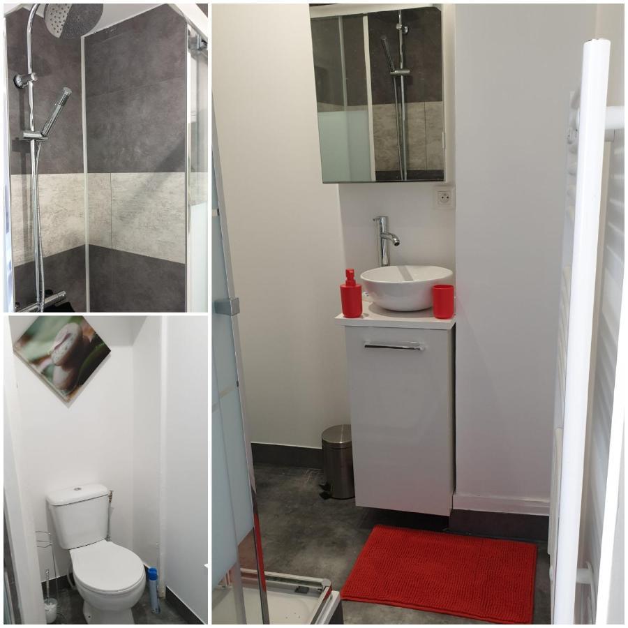 Chambres Poitiers Centre Ville - Salle De Bain, Refrigerateur, Tv Et Machine A Cafe Privatifs - Cuisine Commune - Terrasse - Hotel De Ville A 200M 外观 照片