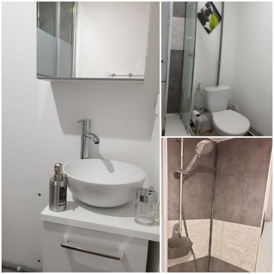 Chambres Poitiers Centre Ville - Salle De Bain, Refrigerateur, Tv Et Machine A Cafe Privatifs - Cuisine Commune - Terrasse - Hotel De Ville A 200M 外观 照片
